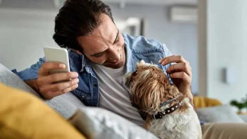 ¿Qué te ha dicho el perro? Míralo con FluentPet. (Foto: Freepik)